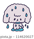 濡れて水が滴り落ちているかわいいトイプードルの子犬のイラスト 114620027