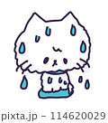 濡れて水が滴り落ちているかわいい白い色の子猫のイラスト 114620029