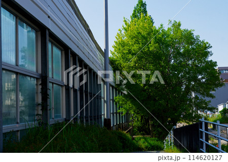 名古屋市のルート302号沿線風景 114620127