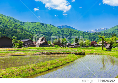 日本の原風景 世界遺産 白川郷 日本の原風景 世界遺産 白川郷 114620392