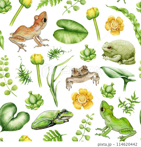 Frog, toad, pond floral natural elements seamless pattern. Watercolor illustration. Hand drawn frogs, toads, water lily flower, leaf elements. Cute amphibian seamless pattern. White background 114620442
