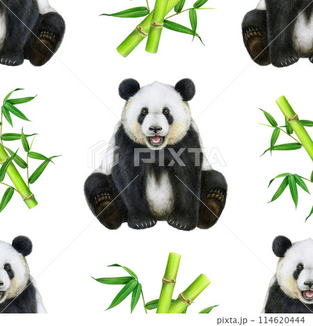 Panda with bamboo seamless pattern. Watercolor illustration. Hand drawn cute asian bear. Cute sitting giant panda with bamboo sticks seamless pattern. China native wildlife animal. White background 114620444