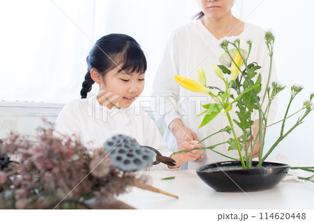 生花のお稽古 114620448