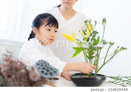 生花のお稽古 114620449