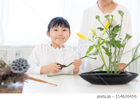 生花のお稽古 生花のお稽古 114620450
