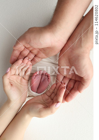 The palms of the father, the mother are holding the foot of the newborn baby in a white blanket. Feet of the newborn on the palms of the parents. Studio macro photo of a child's toes, heels and feet The palms of the father, the mother are holding the foot of the newborn baby in a white blanket. Feet of the newborn on the palms of the parents. Studio macro photo of a child's toes, heels and feet 114620802