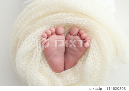 The tiny foot of a newborn baby. Soft feet of a new born in a wool white blanket. Close up of toes, heels and feet of a newborn. Macro photography. The tiny foot of a newborn baby. Soft feet of a new born in a wool white blanket. Close up of toes, heels and feet of a newborn. Macro photography. 114620808