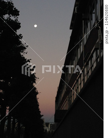 月と夕闇1 114620880