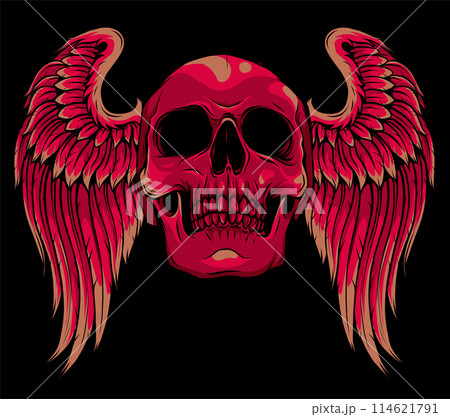 skull with wings on black background. vector illustration design 114621791
