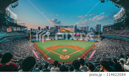 超満員の野球スタジアムイメージ02 超満員の野球スタジアムイメージ02 114622084