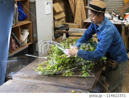 植物の出荷作業をする花卉生産者さん 植物の出荷作業をする花卉生産者さん 114622351