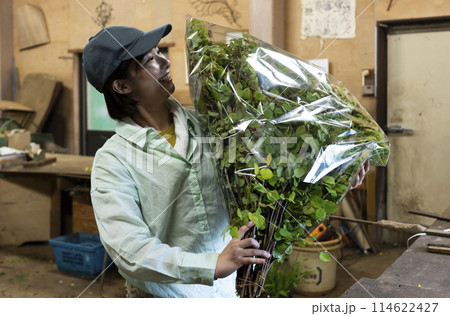 植物の出荷作業をする女性 植物の出荷作業をする女性 114622427