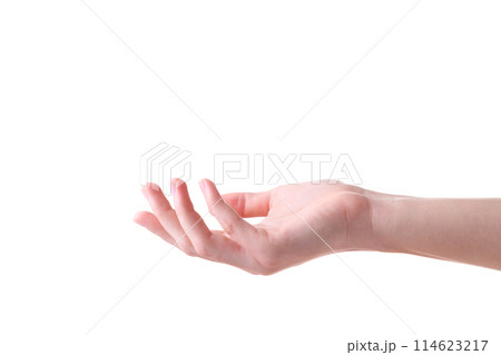 Female hand gesture isolated on a white background Female hand gesture isolated on a white background 114623217