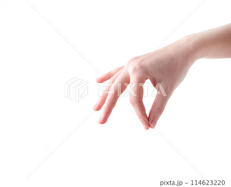 Female hand gesture isolated on a white background 114623220