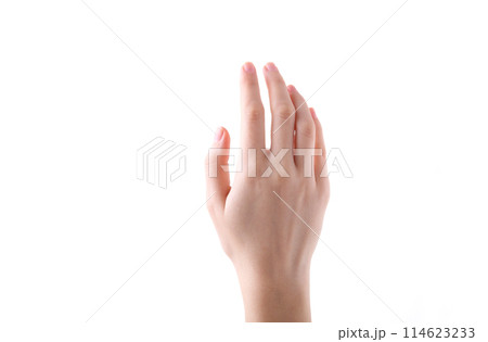 Female hand gesture isolated on a white background 114623233
