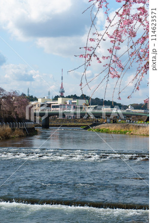春の田川 春の田川 114623571