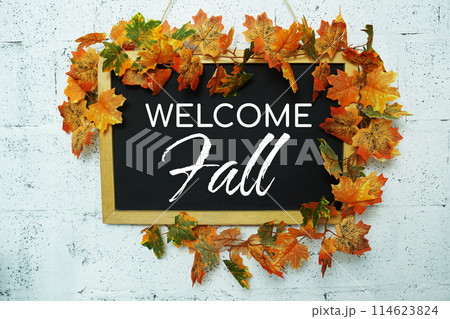 Welcome Fall text message on chalkboard with maple leaf decoration Welcome Fall text message on chalkboard with maple leaf decoration 114623824