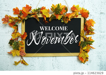 Welcome November text message on chalkboard with maple leaf decoration Welcome November text message on chalkboard with maple leaf decoration 114623829