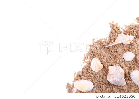 Seashells on a pile of sand isolated over white 114623950