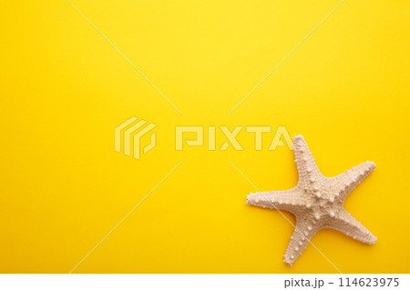 Caribbean starfish on a yellow background.Top view Caribbean starfish on a yellow background.Top view 114623975