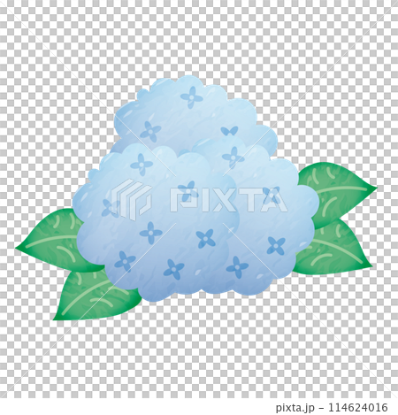 Watercolor Hydrangea (Blue) Watercolor Hydrangea (Blue) 114624016