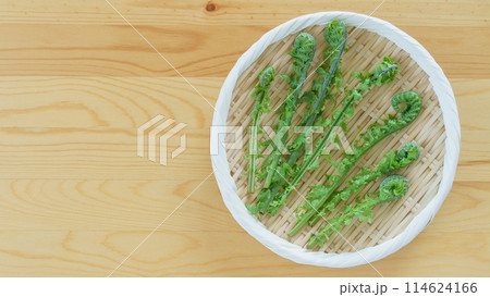 コゴミ｜春の山菜　イメージ 114624166