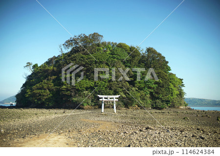 壱岐 小島神社2 壱岐 小島神社2 114624384