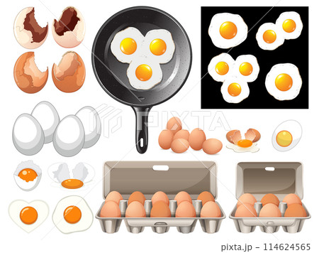 Eggs in Various Stages and Forms 114624565