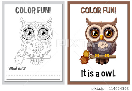 Color Fun Owl Illustration Series Color Fun Owl Illustration Series 114624598