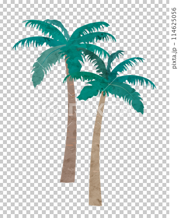 Palm tree watercolor illustration Palm tree watercolor illustration 114625056