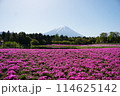 芝桜まつり 114625142