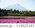 芝桜まつり 114625143