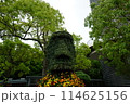 緑のモアイ 114625156