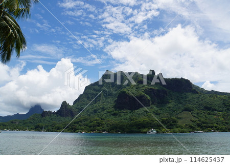 モーレア島 クック湾の風景 モーレア島 クック湾の風景 114625437