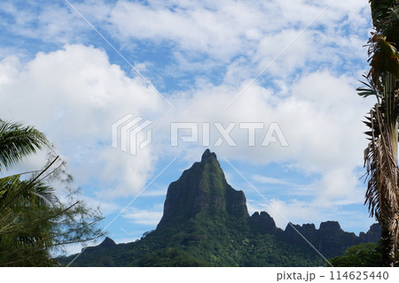 モーレア島の風景 114625440