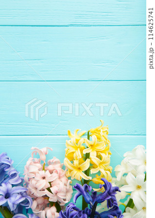 Bunch of hyacinths flower on a blue background. 114625741