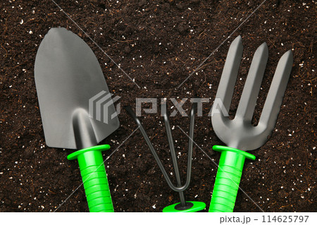 Set of plant care utensils on soil with copy space 114625797