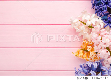 Bunch of hyacinths flower on a pink background. 114625817
