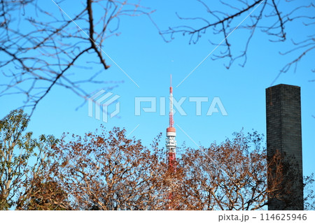 東京都市風景　麻布十番 114625946