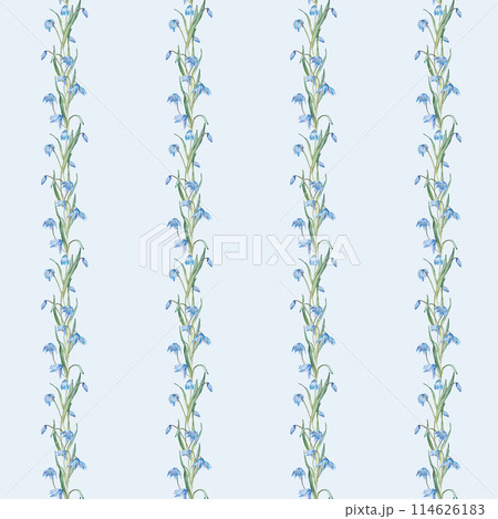 Seamless pattern of the light blue first spring flowers. Watercolor botanical illustration of delicate lilac flowers. Three scillas hand drawn isolated on white background. Banner with little bouquet. Seamless pattern of the light blue first spring flowers. Watercolor botanical illustration of delicate lilac flowers. Three scillas hand drawn isolated on white background. Banner with little bouquet. 114626183