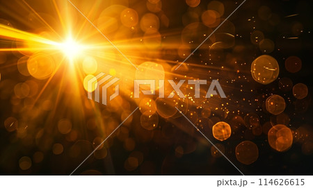 Sun flare on the black background 114626615