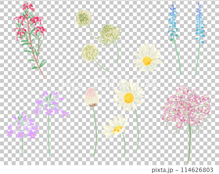 Various watercolor flowers Various watercolor flowers 114626803