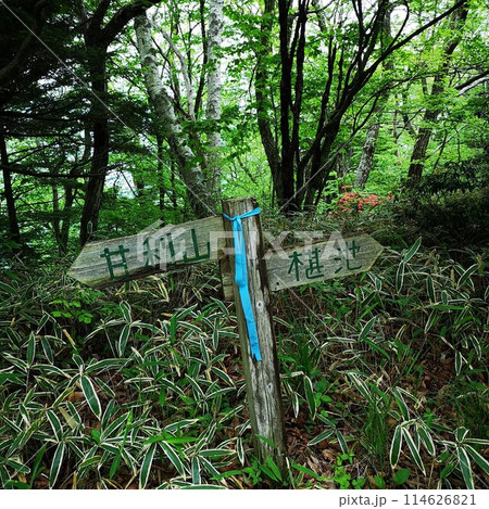 甘利山 道しるべ 甘利山 道しるべ 114626821
