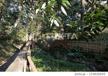 東京都市風景 有栖川宮記念公園 東京都市風景 有栖川宮記念公園 114626830