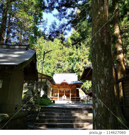尾白川渓谷　竹宇駒ケ岳神社 114627060