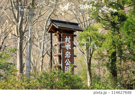 材木岩公園と桜 材木岩公園と桜 114627686