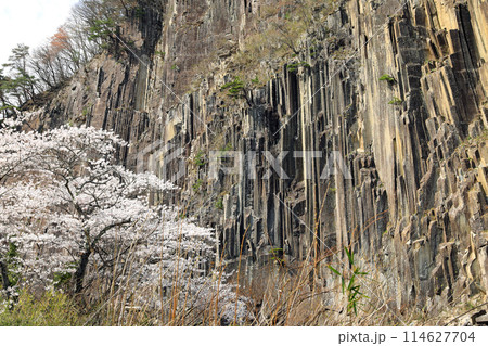 材木岩公園と桜 材木岩公園と桜 114627704
