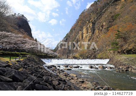 材木岩公園と桜 114627719