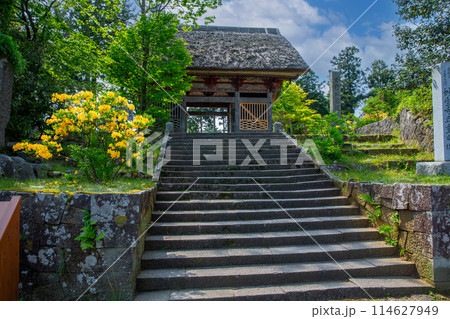 妙宣寺 114627949