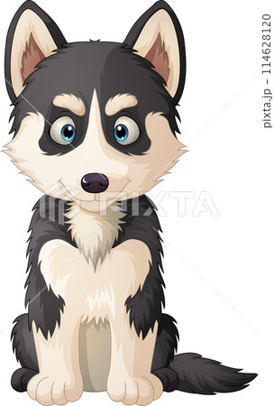 Cartoon Siberian husky dog sitting 114628120